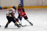 Felix beim Turnier in Frohnleiten