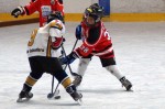 Felix beim Turnier in Frohnleiten